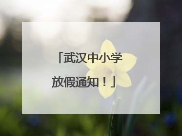 武汉中小学放假通知！