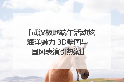 武汉极地端午活动炫海洋魅力 3D壁画与国风表演引热潮