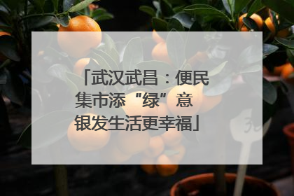 武汉武昌：便民集市添“绿”意 银发生活更幸福