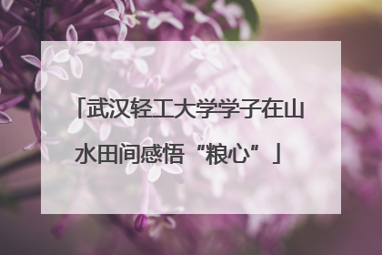 武汉轻工大学学子在山水田间感悟“粮心”