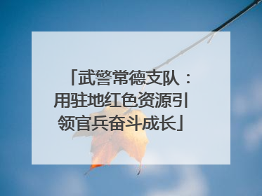 武警常德支队：用驻地红色资源引领官兵奋斗成长