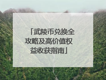 武陵币兑换全攻略及高价值权益收获指南