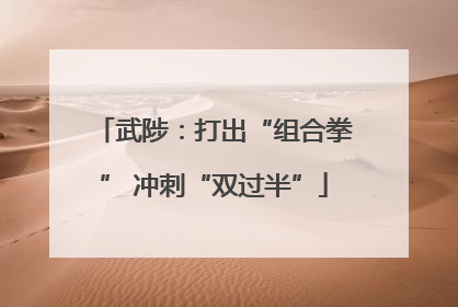 武陟：打出“组合拳” 冲刺“双过半”