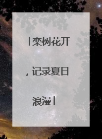 栾树花开，记录夏日浪漫