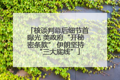 核谈判幕后细节首曝光 美政府“开秘密条款” 伊朗坚持“三大底线”