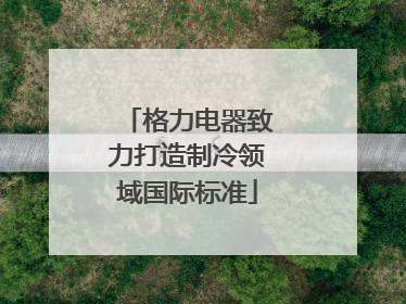 格力电器致力打造制冷领域国际标准