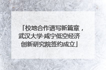 校地合作谱写新篇章，武汉大学·咸宁低空经济创新研究院签约成立