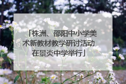 株洲、邵阳中小学美术新教材教学研讨活动在景炎中学举行