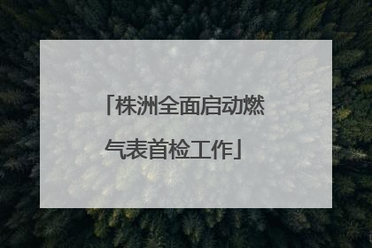 株洲全面启动燃气表首检工作