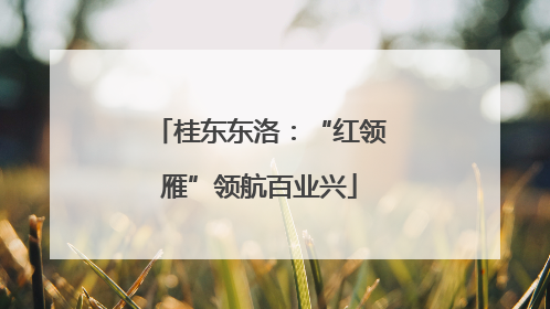 桂东东洛：“红领雁”领航百业兴