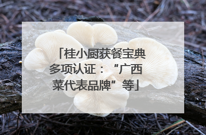 桂小厨获餐宝典多项认证：“广西菜代表品牌”等