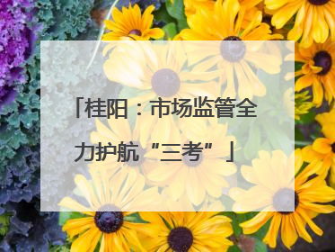 桂阳：市场监管全力护航“三考”