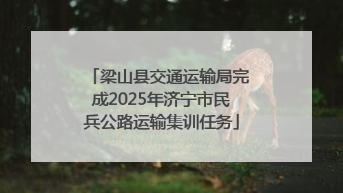 梁山县交通运输局完成2025年济宁市民兵公路运输集训任务