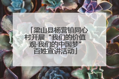 梁山县杨营镇同心村开展“我们的价值观·我们的中国梦”百姓宣讲活动