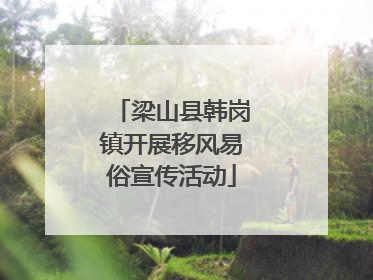 梁山县韩岗镇开展移风易俗宣传活动