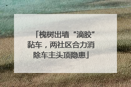 槐树出墙“滴胶”黏车，两社区合力消除车主头顶隐患
