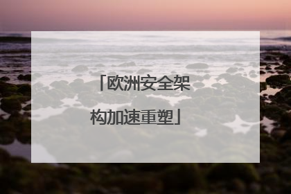 欧洲安全架构加速重塑