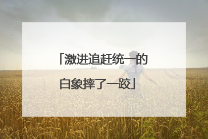激进追赶统一的白象摔了一跤