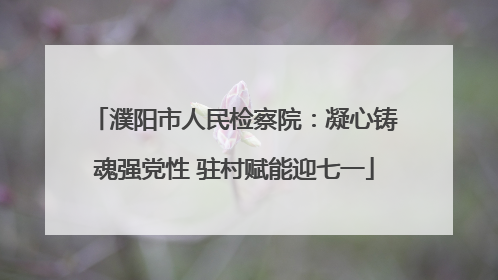 濮阳市人民检察院：凝心铸魂强党性 驻村赋能迎七一