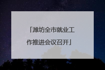 潍坊全市就业工作推进会议召开