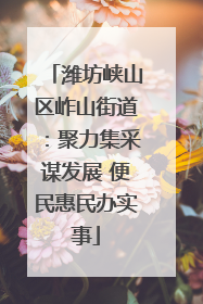 潍坊峡山区岞山街道：聚力集采谋发展 便民惠民办实事