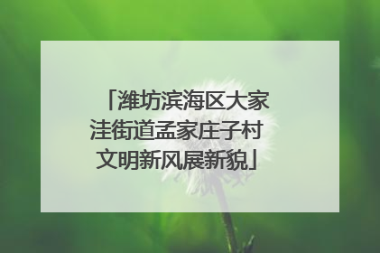 潍坊滨海区大家洼街道孟家庄子村文明新风展新貌