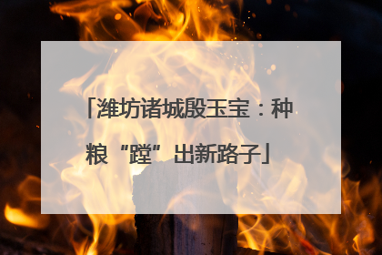 潍坊诸城殷玉宝：种粮“蹚”出新路子