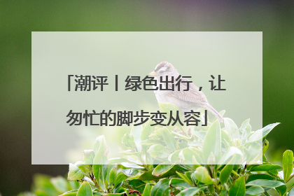 潮评丨绿色出行，让匆忙的脚步变从容