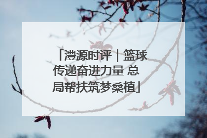 澧源时评｜篮球传递奋进力量 总局帮扶筑梦桑植