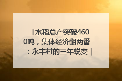 水稻总产突破4600吨，集体经济翻两番：永丰村的三年蜕变｜您牵挂的四川