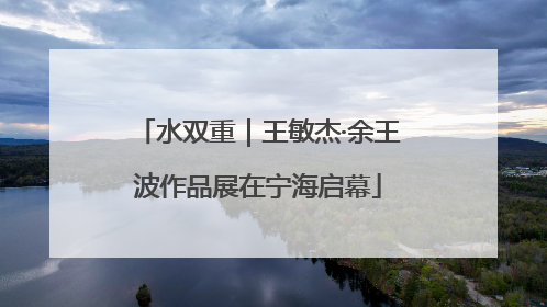 水双重｜王敏杰·余王波作品展在宁海启幕