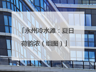 永州冷水滩：夏日荷韵浓（组图）