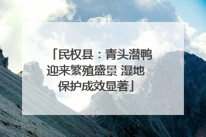 民权县：青头潜鸭迎来繁殖盛景 湿地保护成效显著