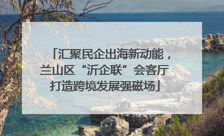 汇聚民企出海新动能，兰山区“沂企联”会客厅打造跨境发展强磁场
