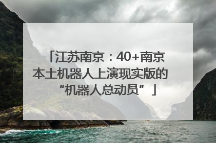 江苏南京：40+南京本土机器人上演现实版的“机器人总动员”