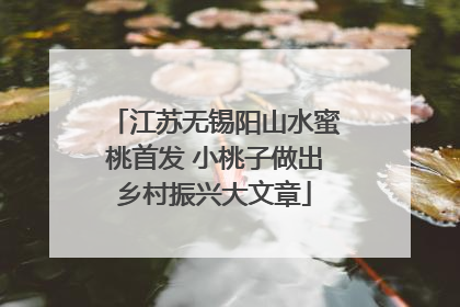 江苏无锡阳山水蜜桃首发 小桃子做出乡村振兴大文章