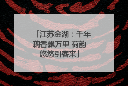 江苏金湖：千年藕香飘万里 荷韵悠悠引客来