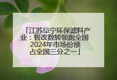 江苏阜宁环保滤料产业：智改数转领跑全国 2024年市场份额占全国三分之一