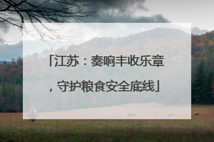 江苏：奏响丰收乐章，守护粮食安全底线
