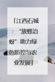 江西石城：“放蜂治蚜”助力绿色防控与农业发展