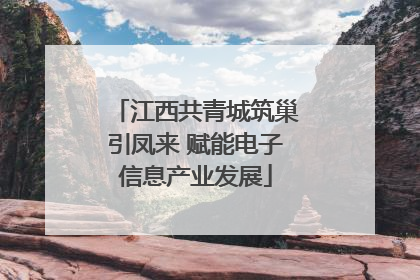 江西共青城筑巢引凤来 赋能电子信息产业发展