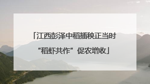 江西彭泽中稻插秧正当时 “稻虾共作”促农增收
