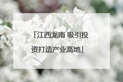 江西龙南 吸引投资打造产业高地