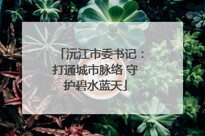 沅江市委书记：打通城市脉络 守护碧水蓝天