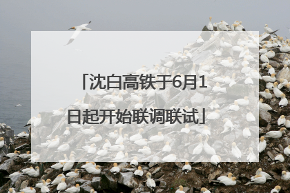 沈白高铁于6月1日起开始联调联试