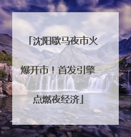 沈阳歇马夜市火爆开市！首发引擎点燃夜经济