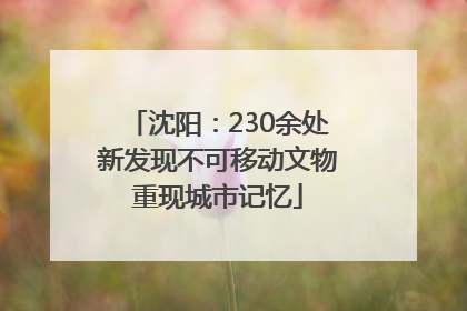 沈阳：230余处新发现不可移动文物重现城市记忆