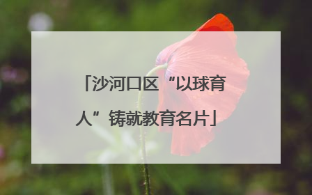 沙河口区“以球育人”铸就教育名片