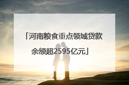 河南粮食重点领域贷款余额超2595亿元