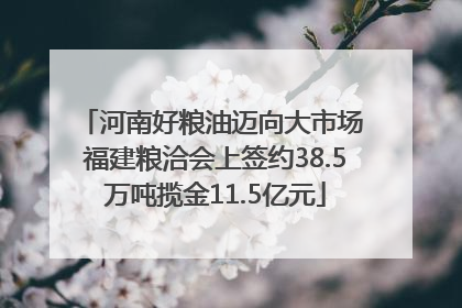 河南好粮油迈向大市场 福建粮洽会上签约38.5万吨揽金11.5亿元